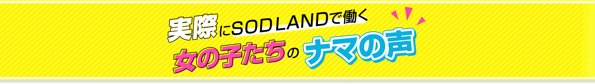 実際にSOD LANDで働く女の子たちのナマの声を紹介！