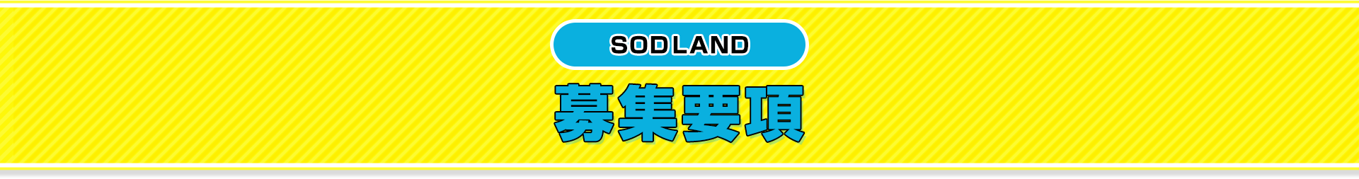 募集要項